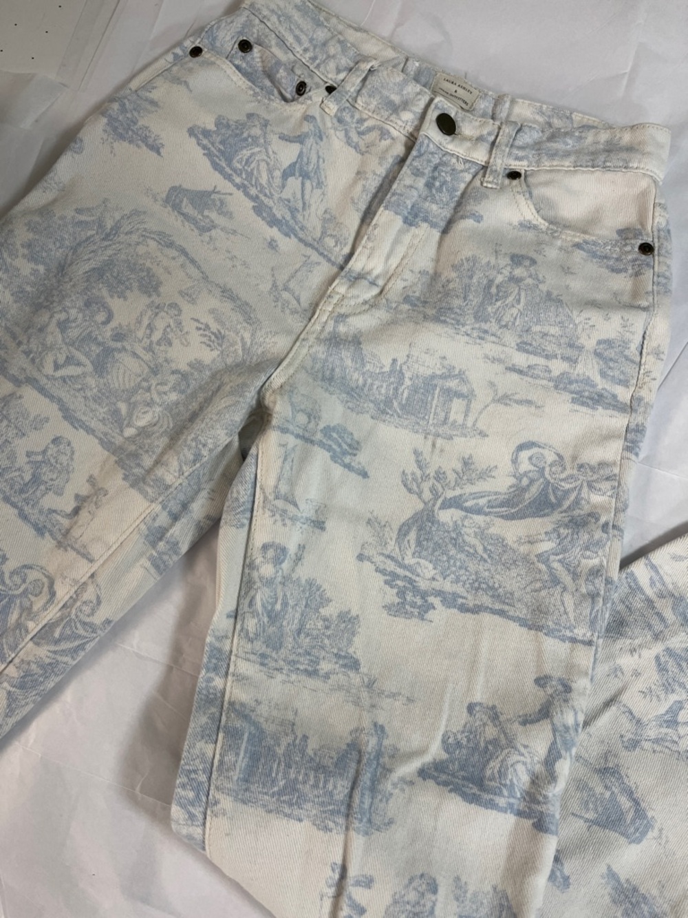 Laura Ashley x Urban Outfitters size 26 Light Blue Toile Skinny Jeans cherub